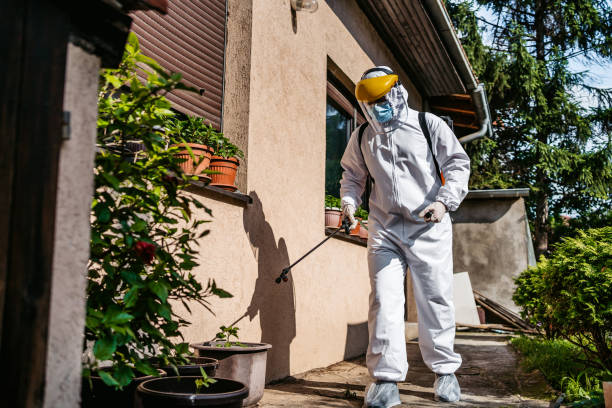 Best Flea Control Services  in Lafayette, IN