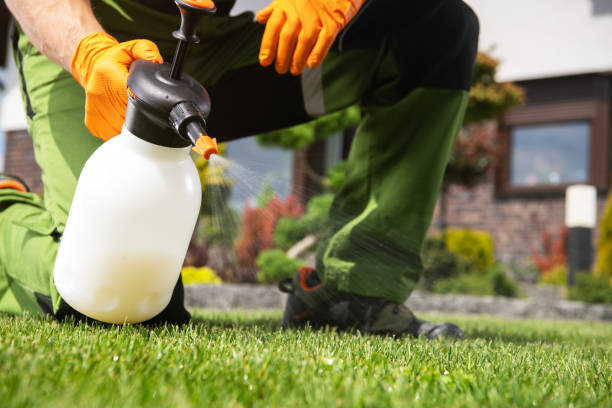 Best Cockroach Control Services  in Lafayette, IN