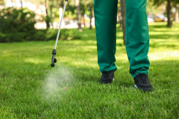 Best Termite Control Services  in Lafayette, IN