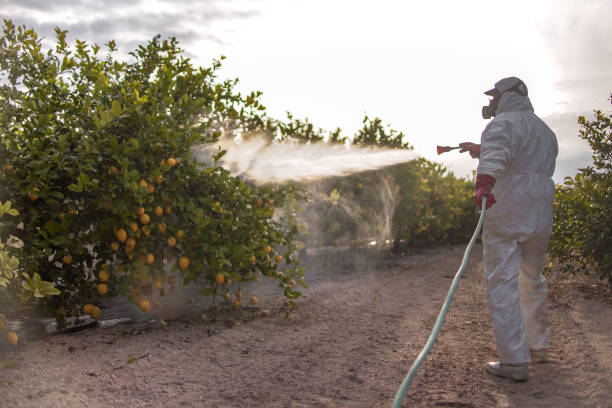 Best Ant Control Services  in Lafayette, IN