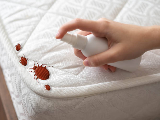 Best Best Pest Control Companies  in Lafayette, IN