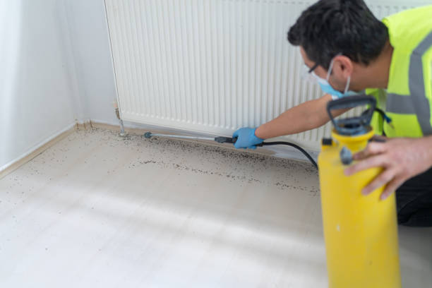Best Residential Pest Control  in Lafayette, IN